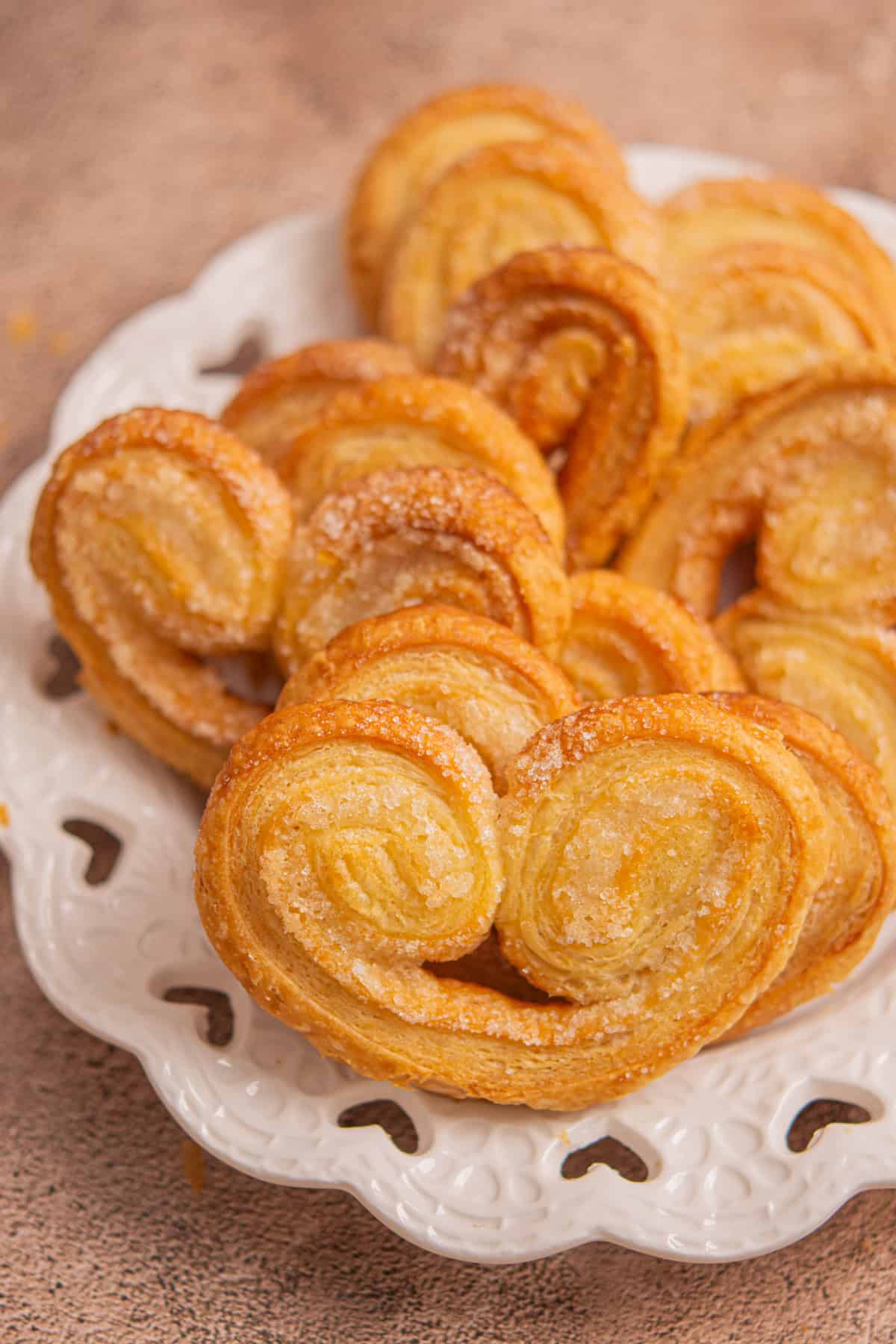 Elephant Ear
